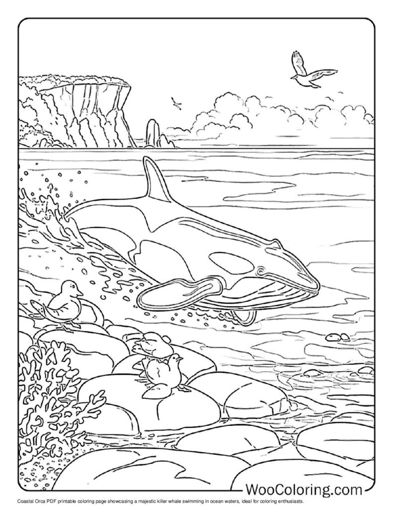 Orca Coloring Page Printable