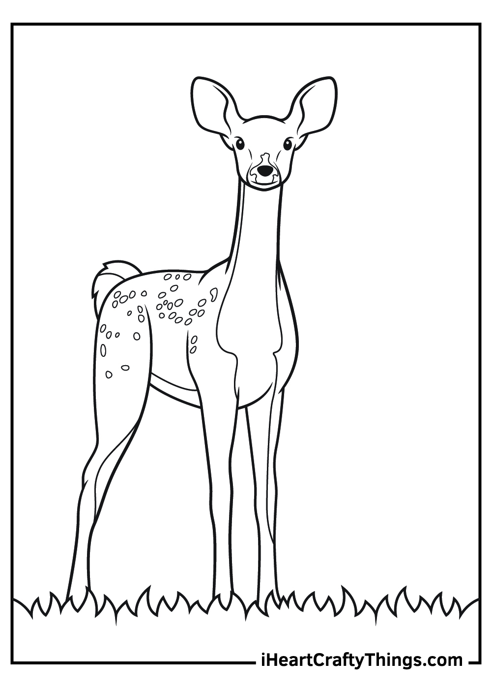 15 Realistic Animals Coloring Pages 100 Free Printables 