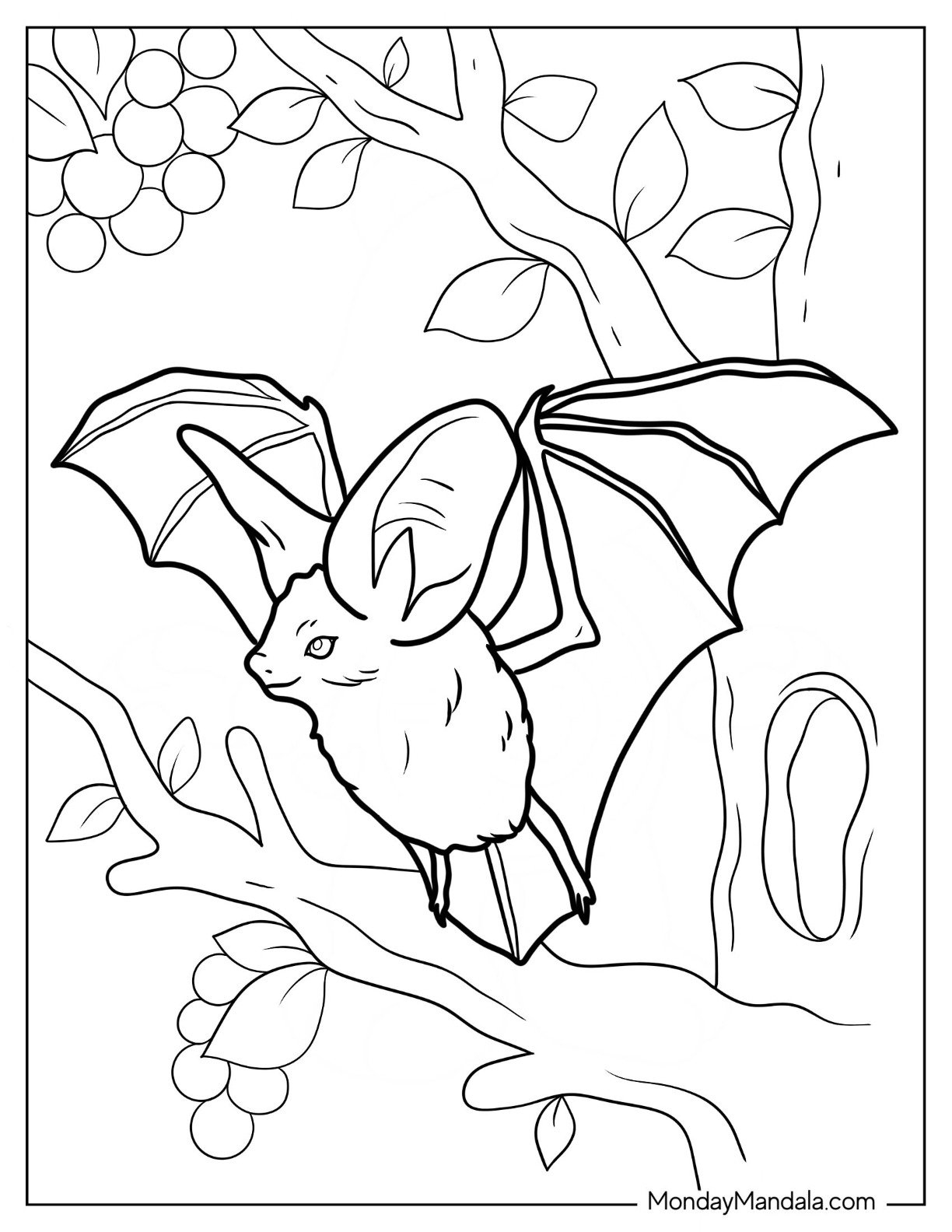20 Bat Coloring Pages Free PDF Printables 