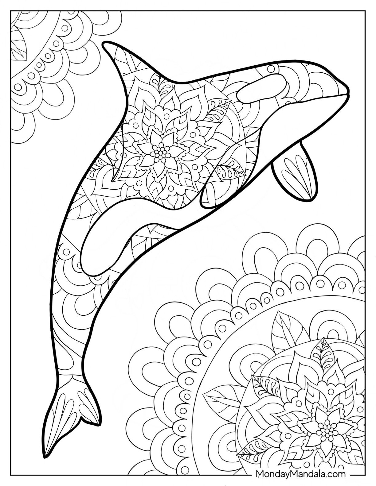 20 Killer Whale Coloring Pages Free PDF Printables 