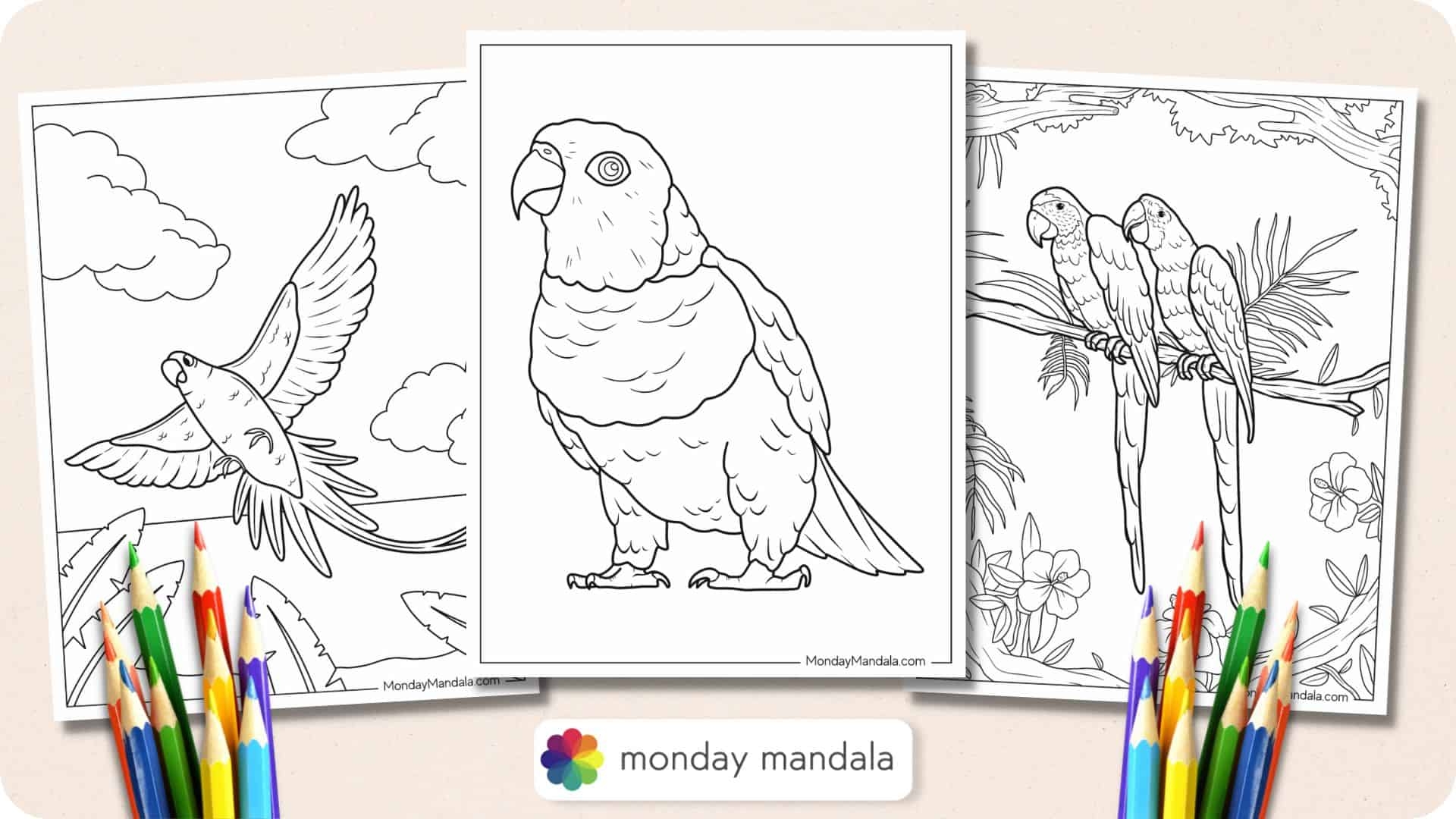 Parakeet Coloring Coloring Pages Printable