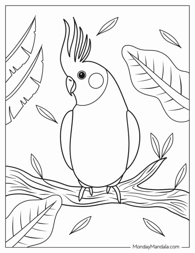 22 Parrot Coloring Pages Free PDF Printables 