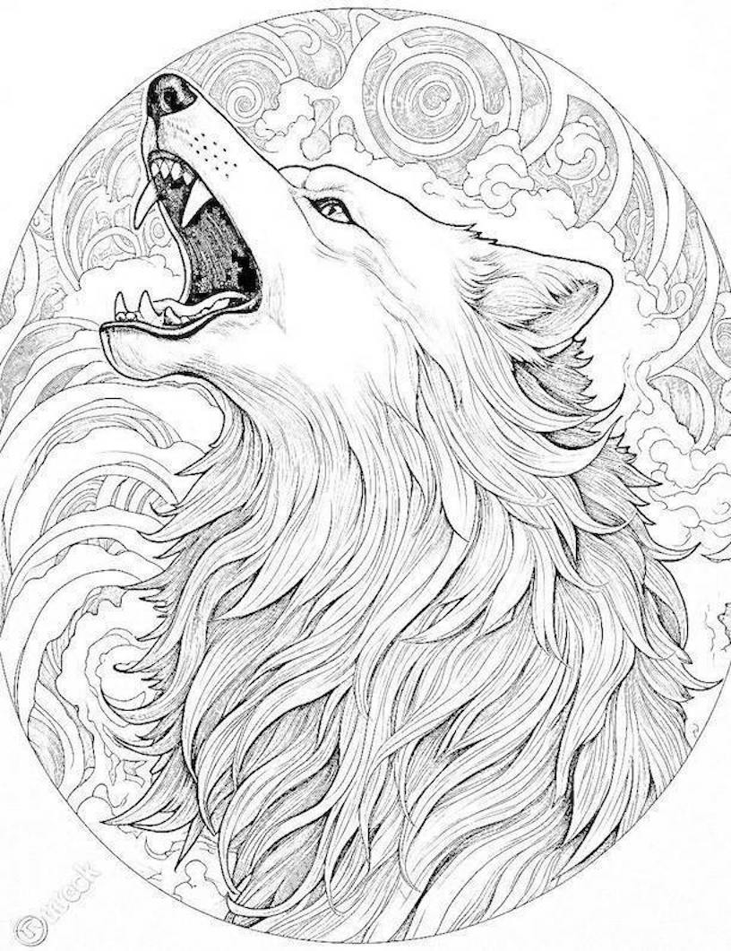 Wolf Coloring Pages Coloring Pages Printable