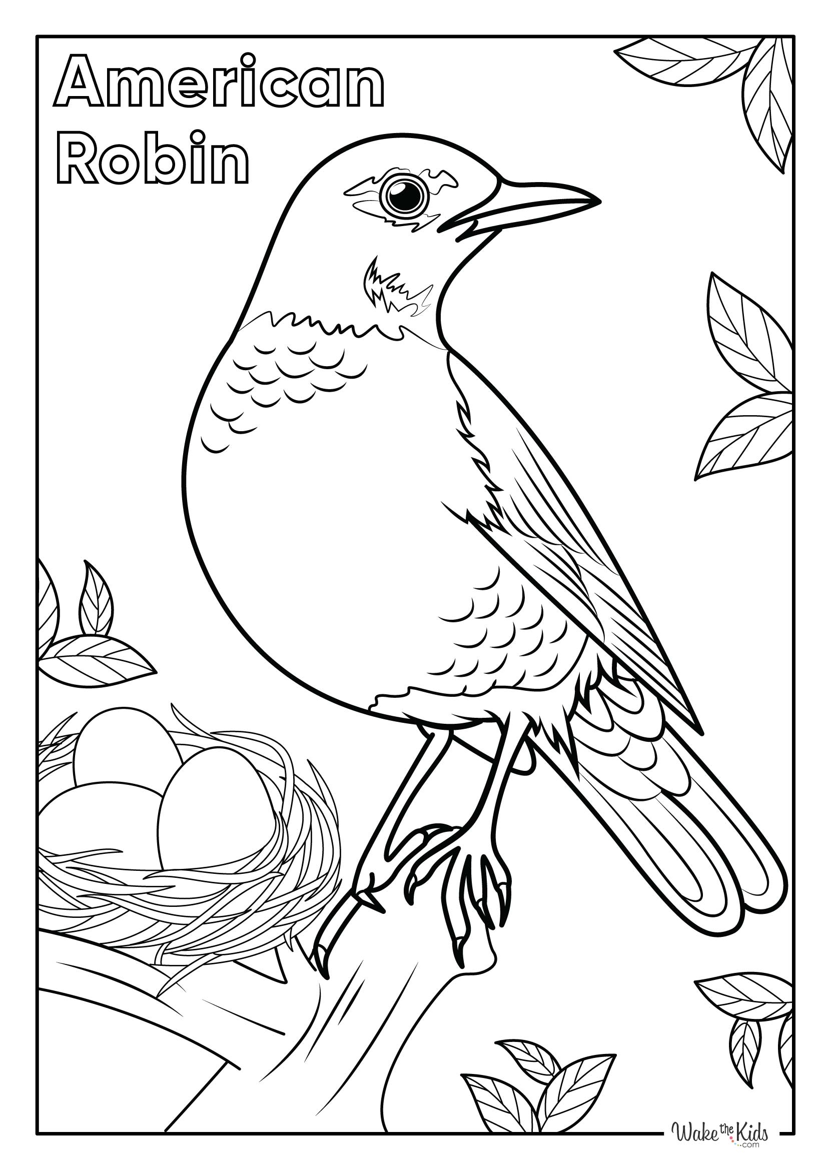 American Robin Coloring Pages Free Printable PDFs WakeTheKids