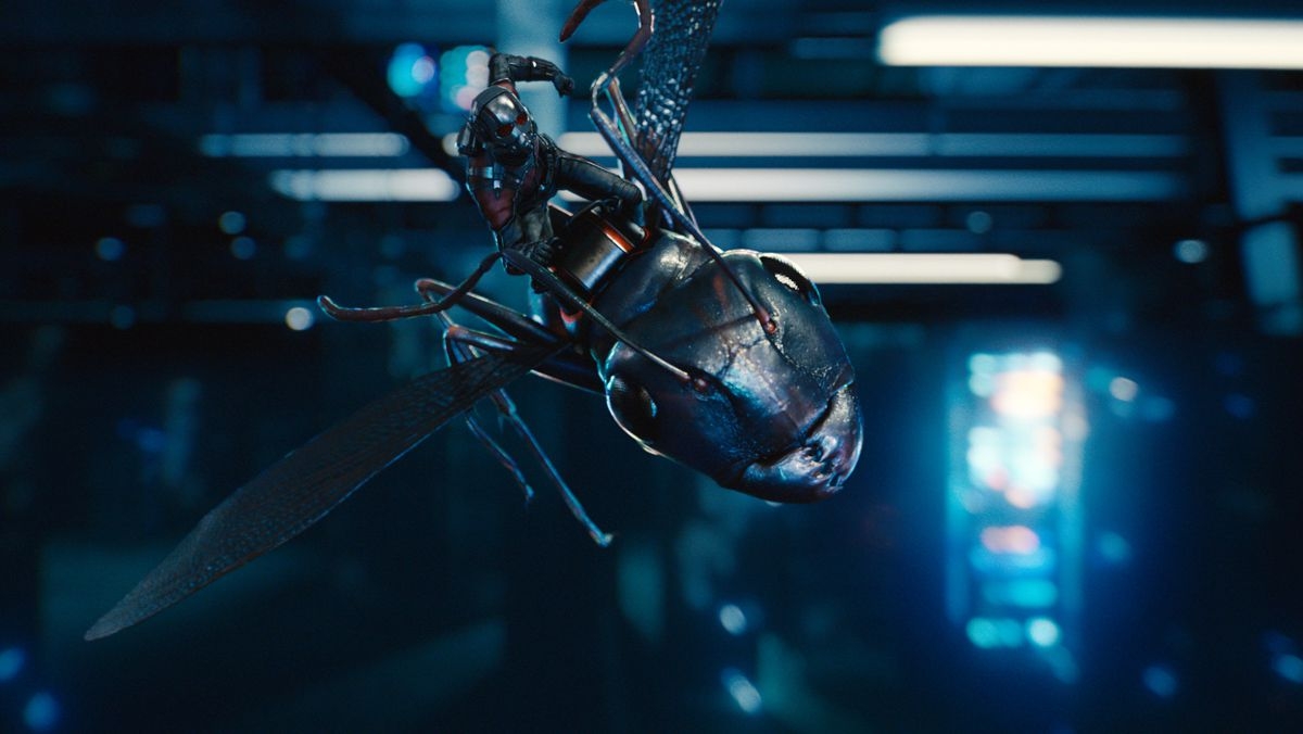 Small Ant Man Standing On Desk