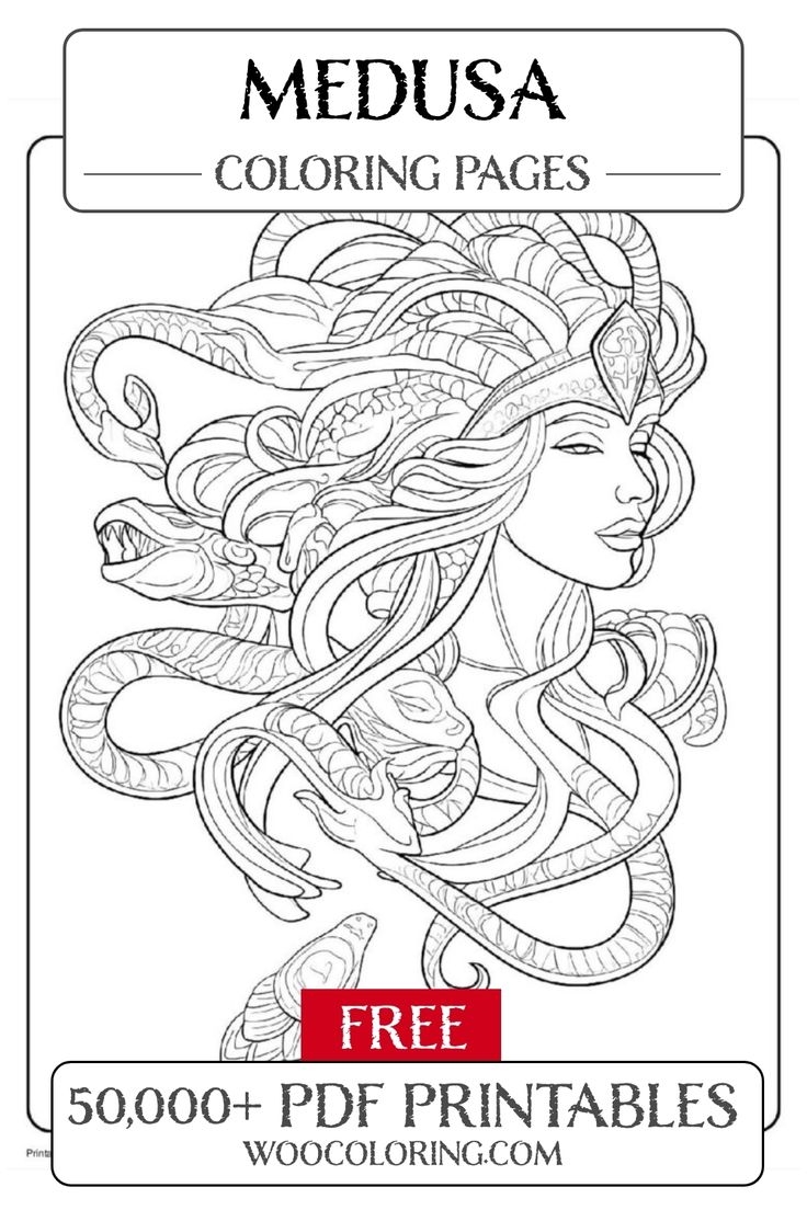 Armor Of Medusa