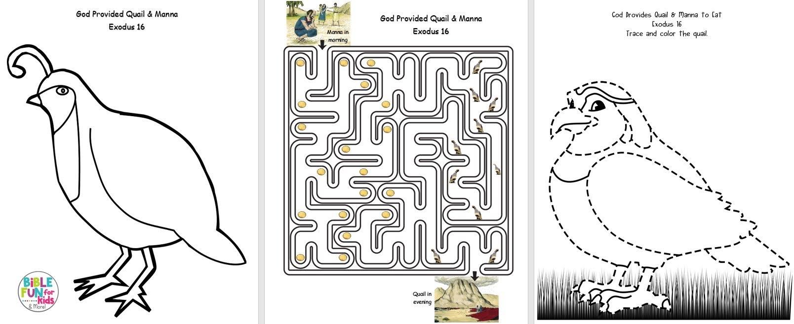 Moses Manna And Quail Coloring Page