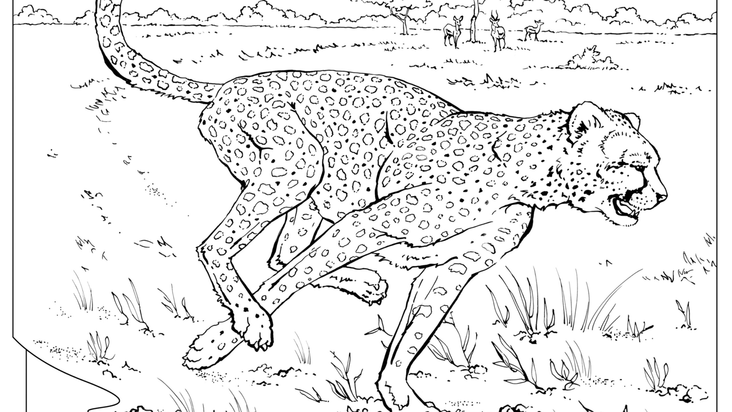 Coloring Book Animals A To I 