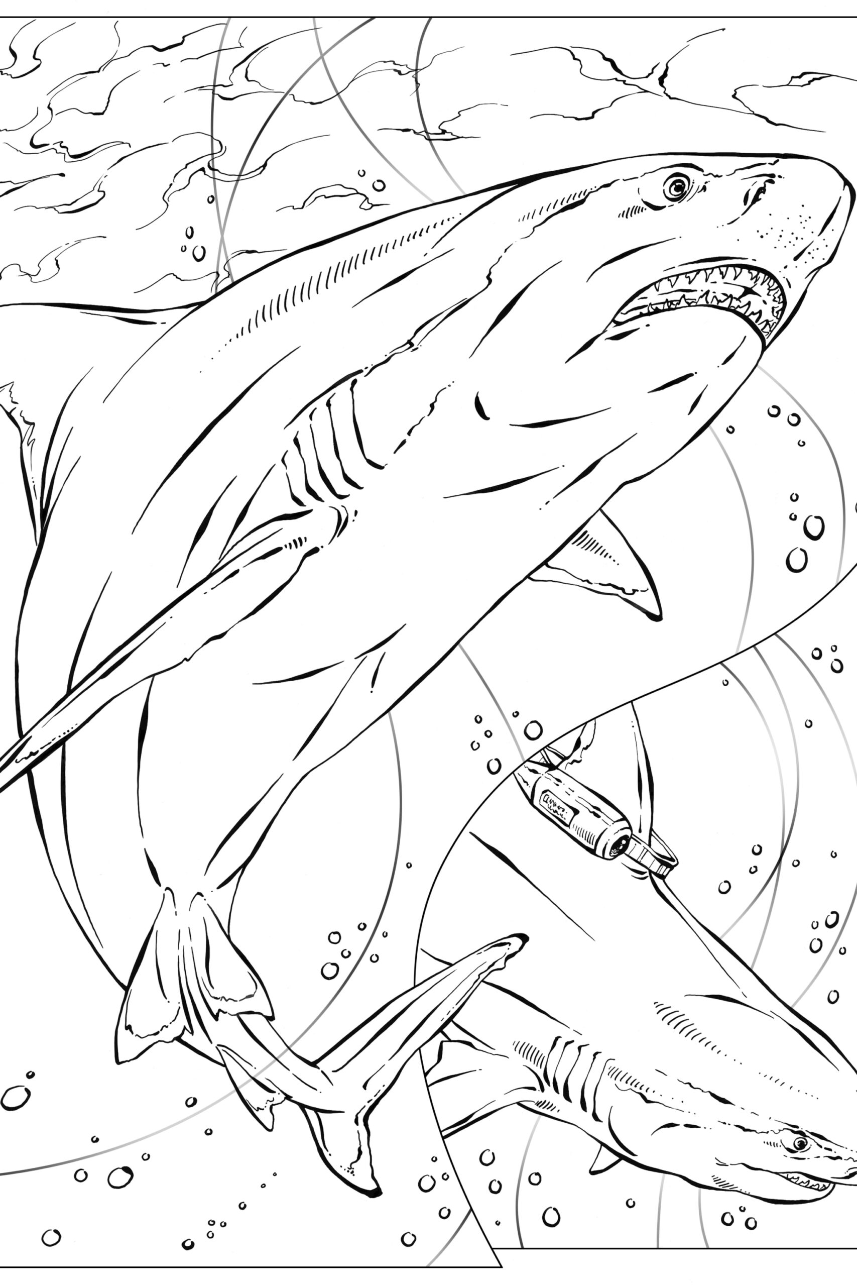 Coloring Book Animals A To I 