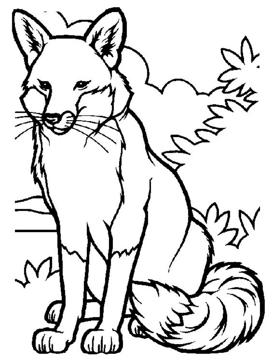 Fox Coloring Coloring Pages Printable