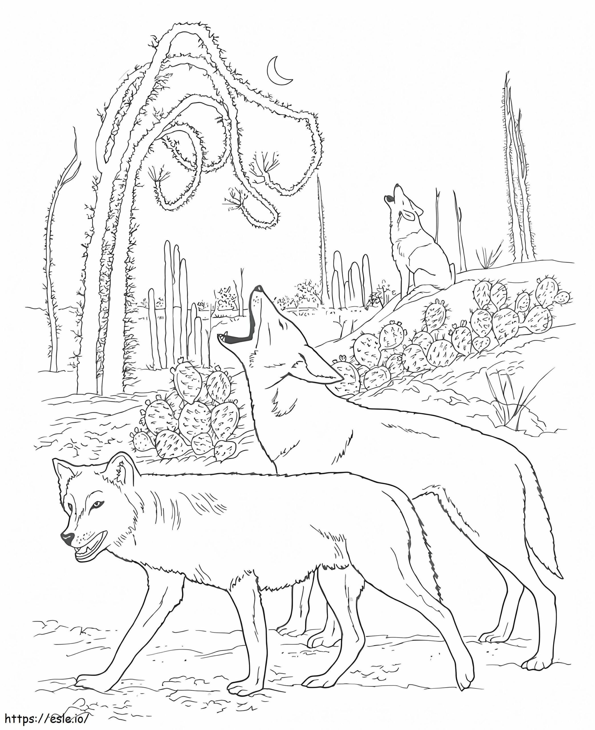 Coyote 2 Coloring Page