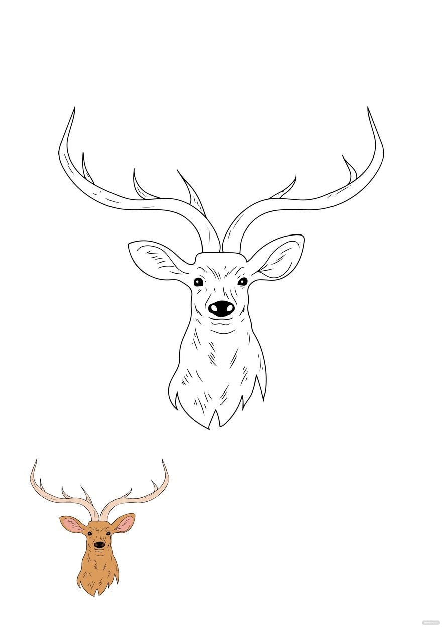 Deer Head Coloring Page In PDF Download Template