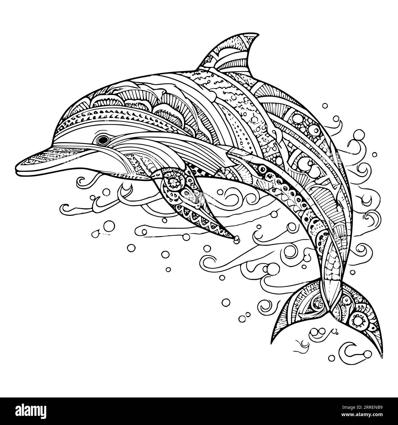 Dolphin Colouring Pages Printable Black And White Stock Photos Images Alamy