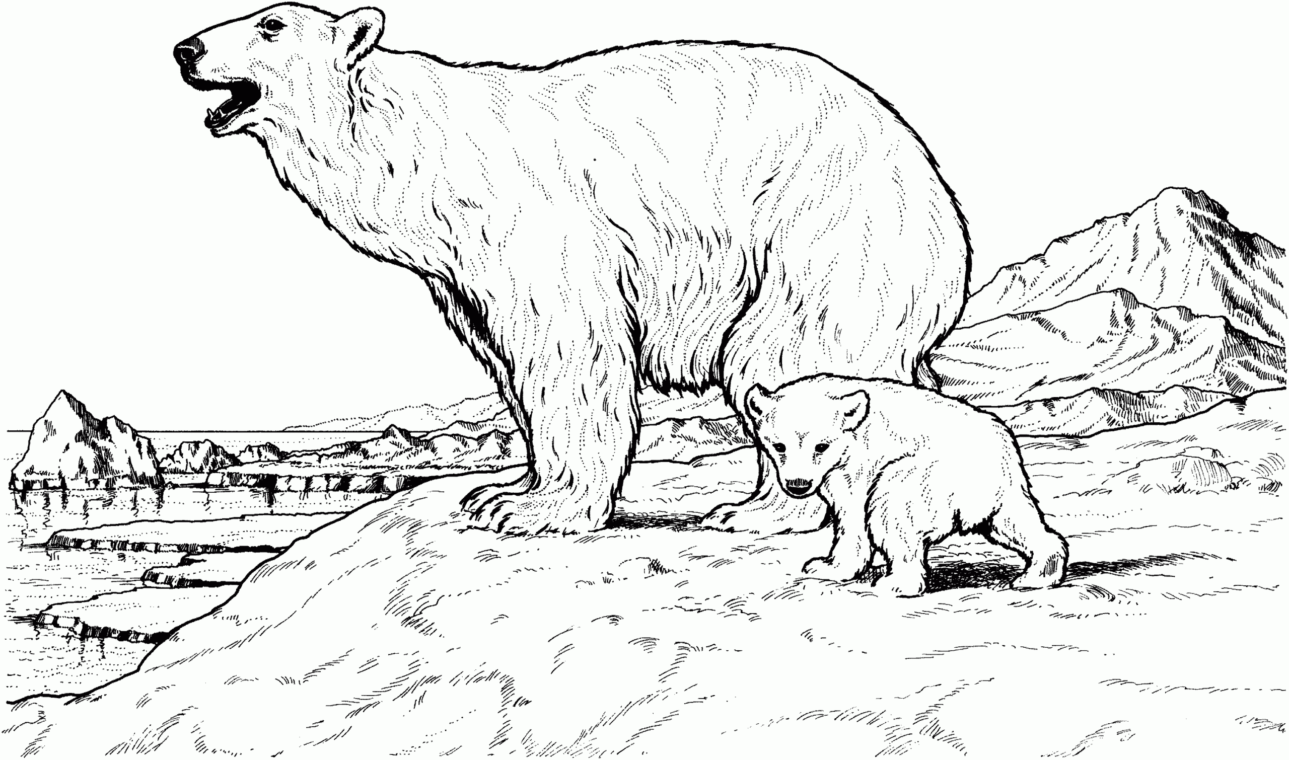 Free Black Bear Coloring Page Printable
