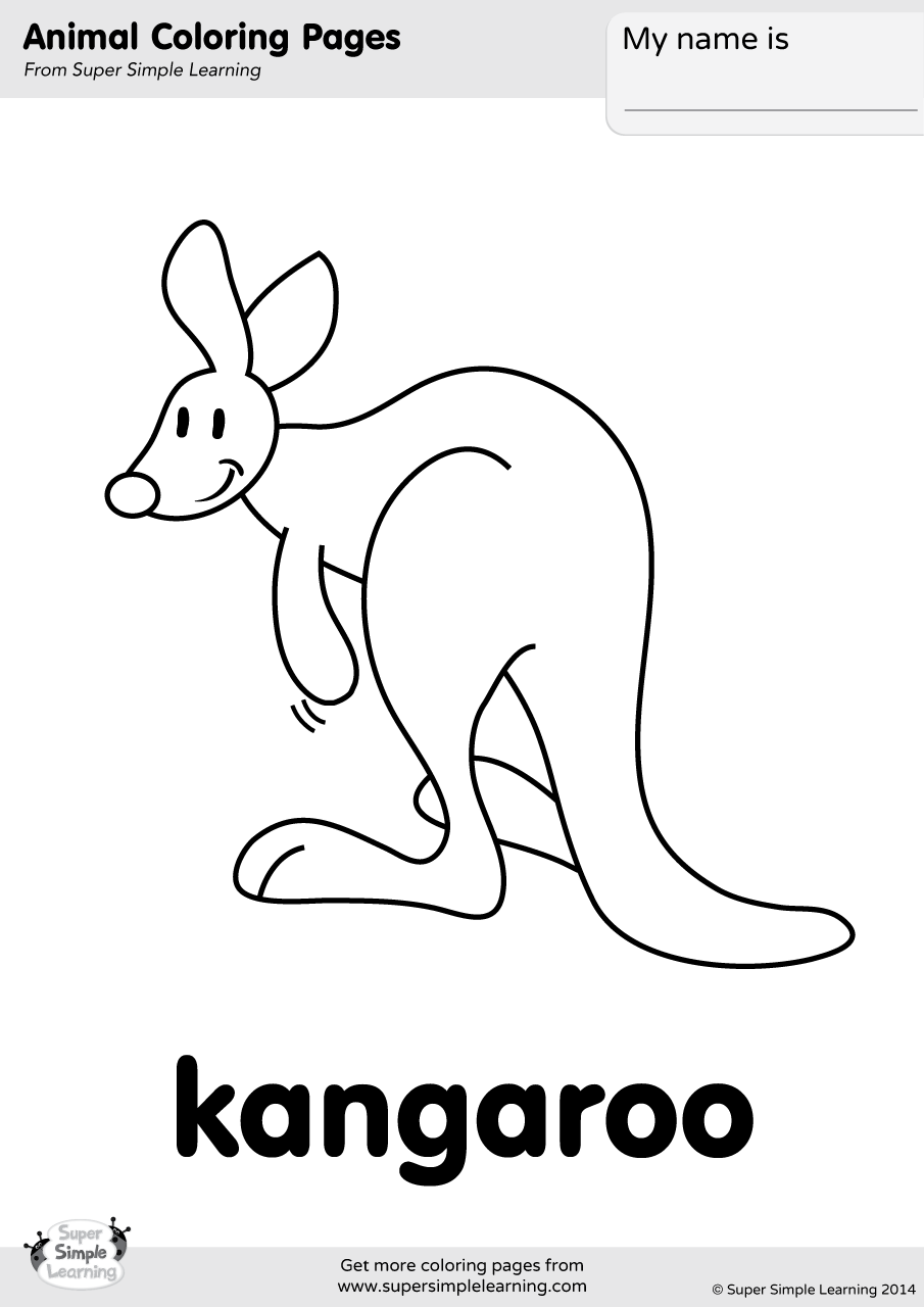Kangaroo Coloring Page Super Simple