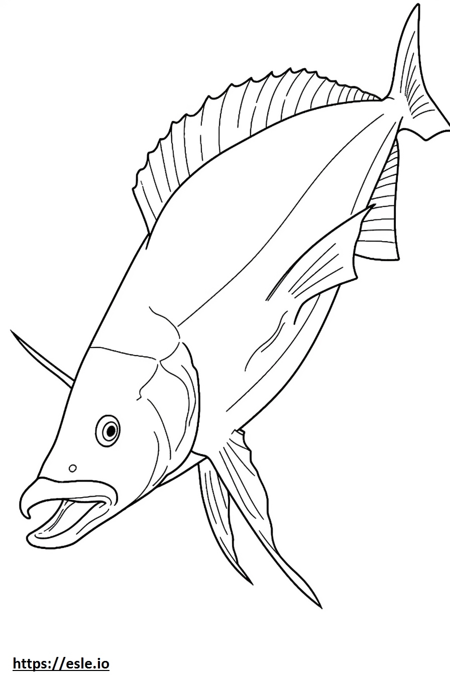 Mahi Mahi Dolphin Fish Cute Coloring Page