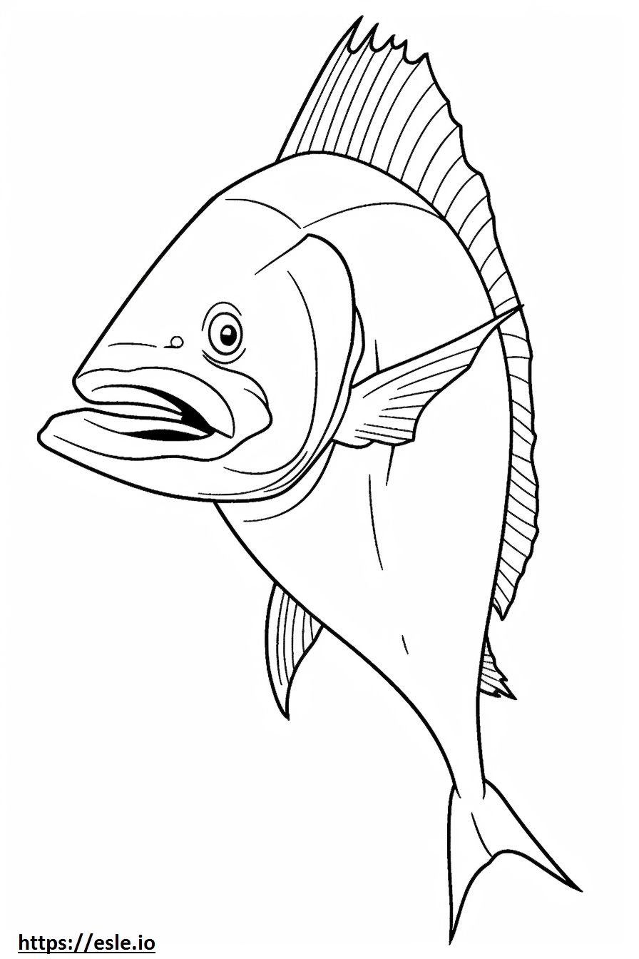 Mahi Mahi Dolphin Fish Cute Coloring Page