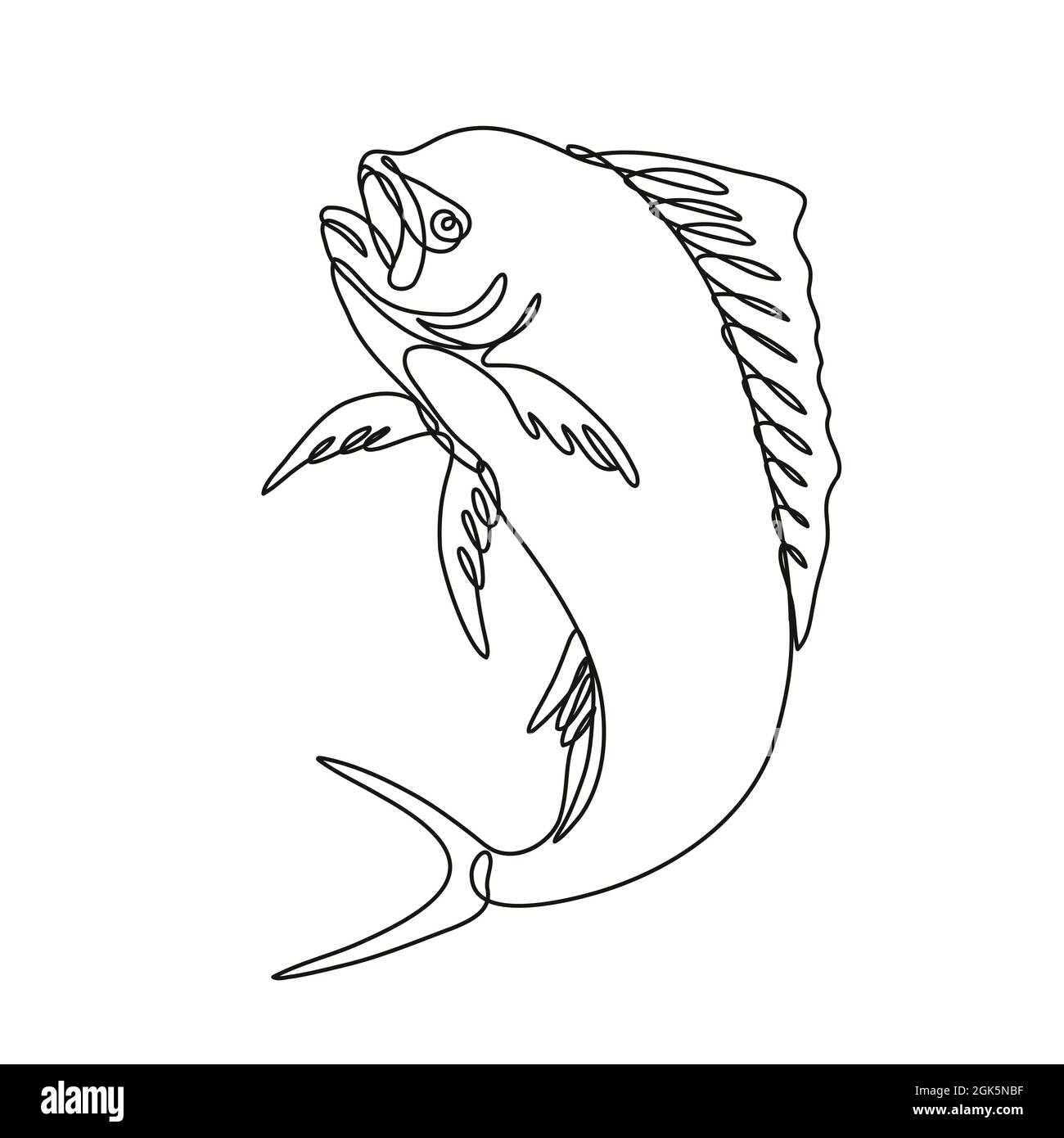 Mahi Mahi Dolphin Fish Drawing Cut Out Stock Images Pictures Alamy