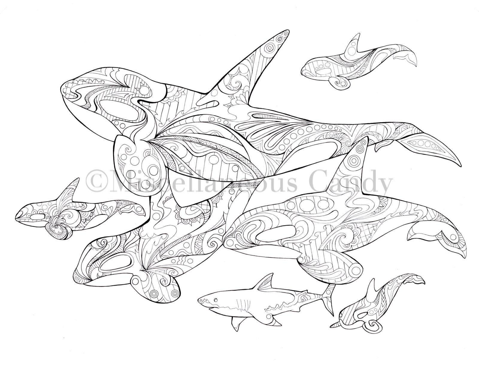 Orca Pod Coloring Sheet Etsy