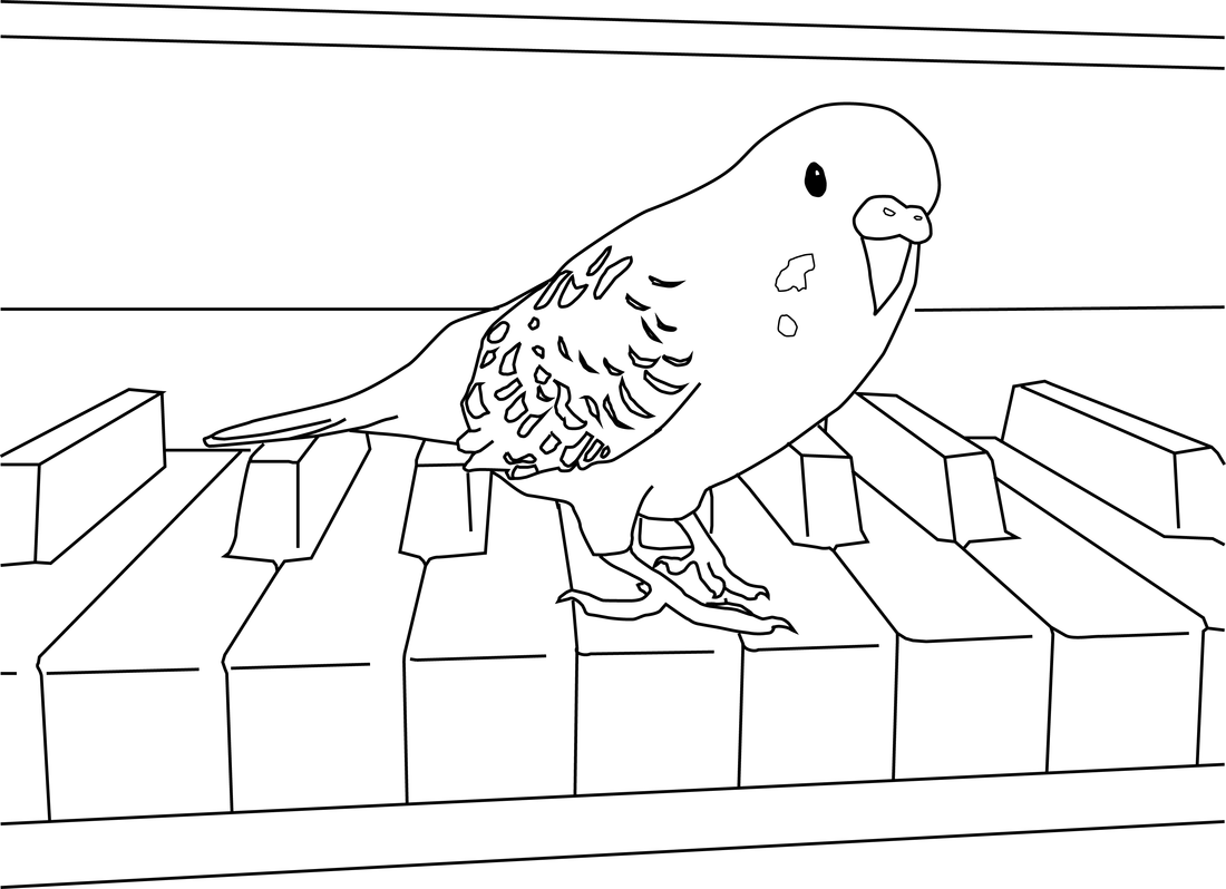 Parakeet Coloring Pages My Parakeet Clarabelle