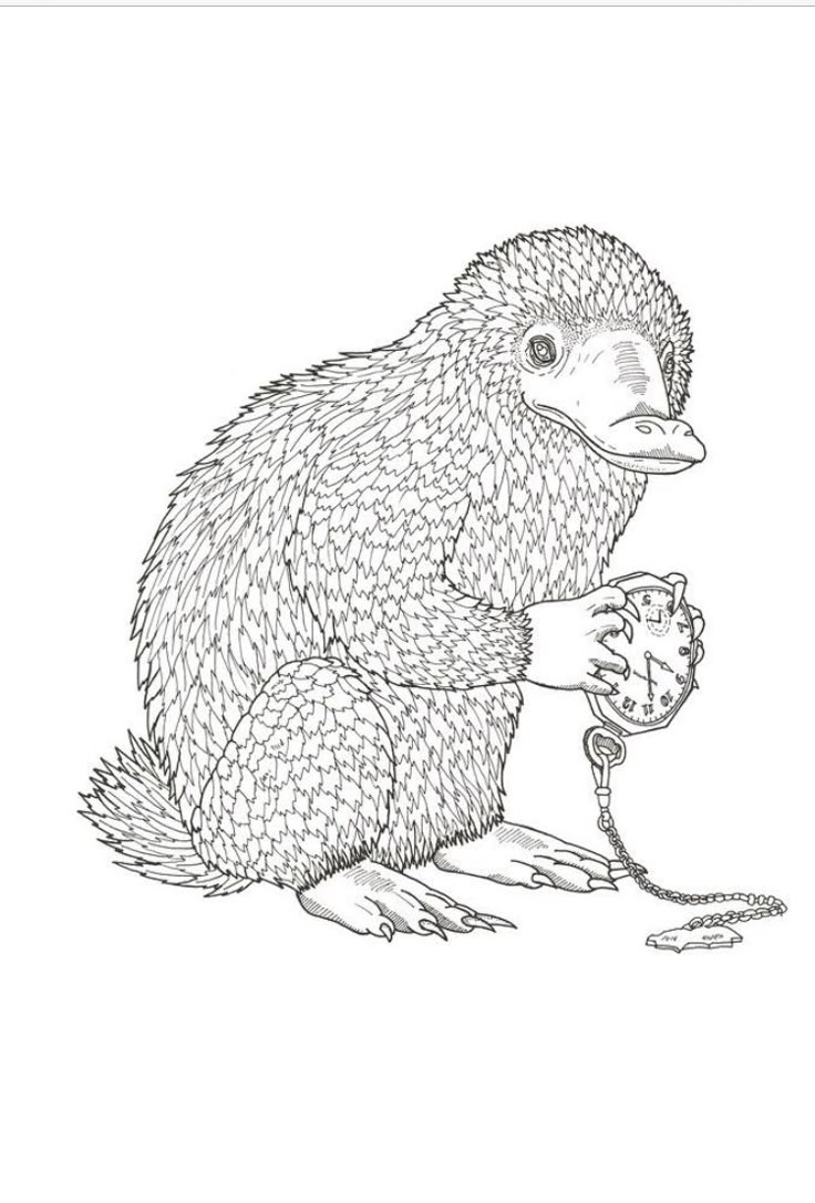 Pin By Bridget Clark On Coloring Pages Harry Potter Coloring Pages Harry Potter Creatures Pickett Fantastic Beasts