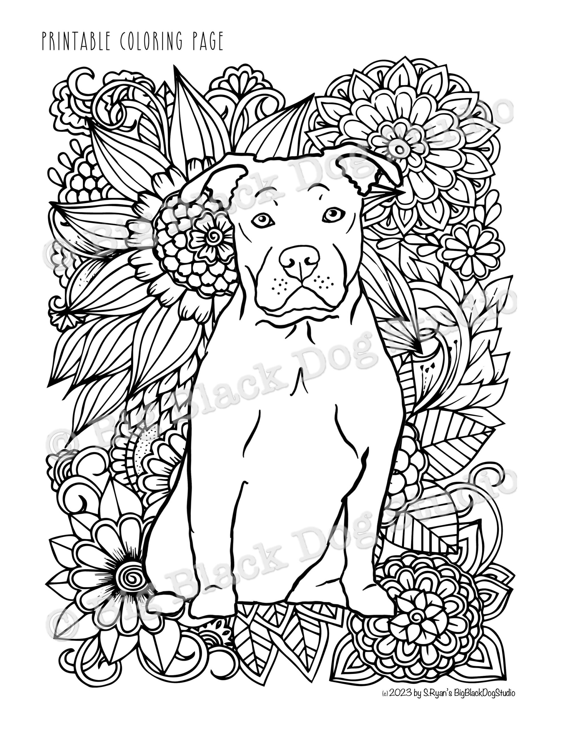 Pitbull Coloring Page digital Download Pibble Pittie Staffy Amstaff Staffie Etsy