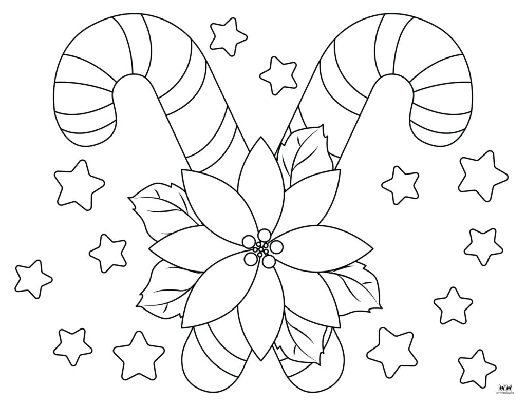 Poinsettia Coloring Pages Templates FREE Printabulls