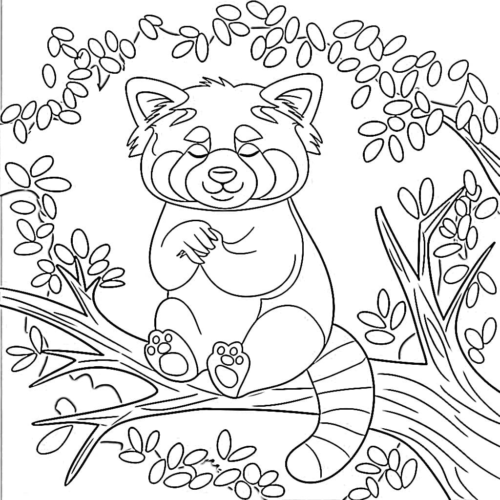 Red Panda Coloring Pages ColoringLib