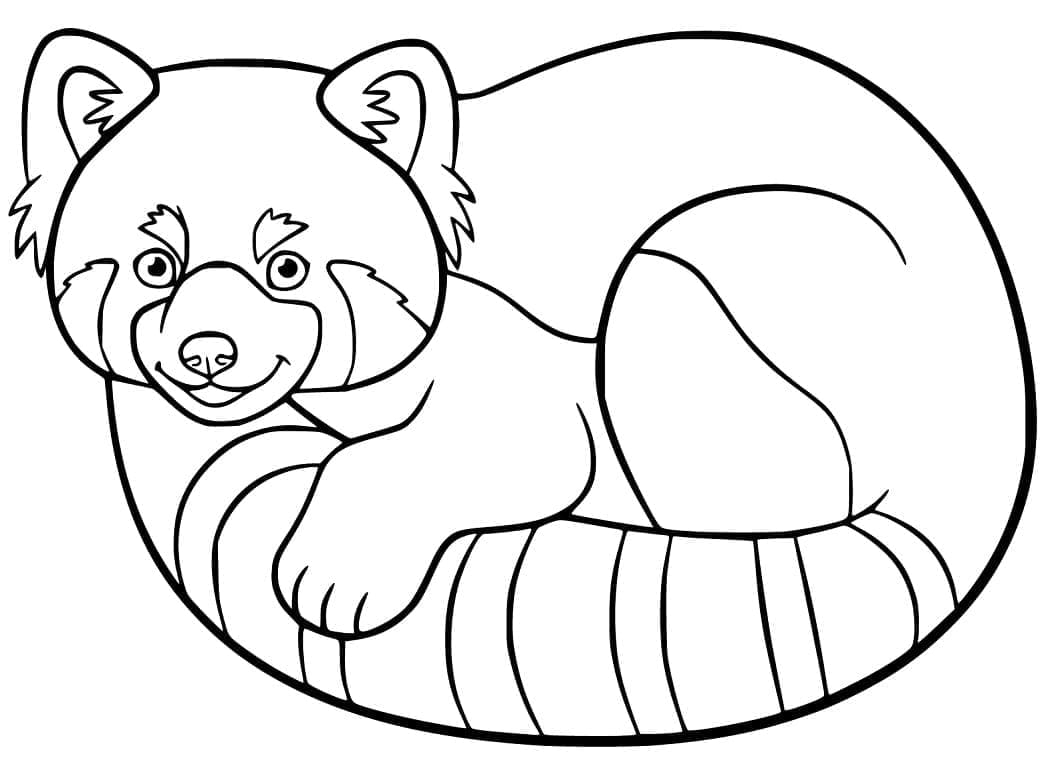 Red Panda Coloring Pages ColoringLib