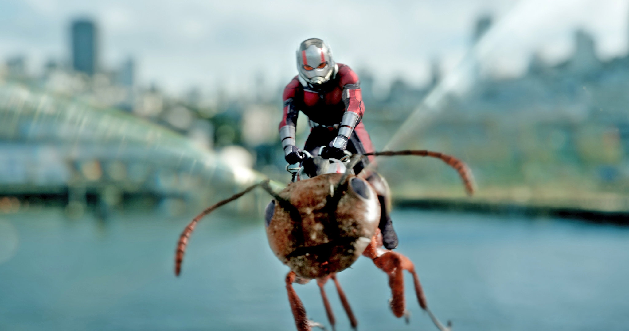 Review Ant Man And The Wasp Save The World With Jokes The New York Times
