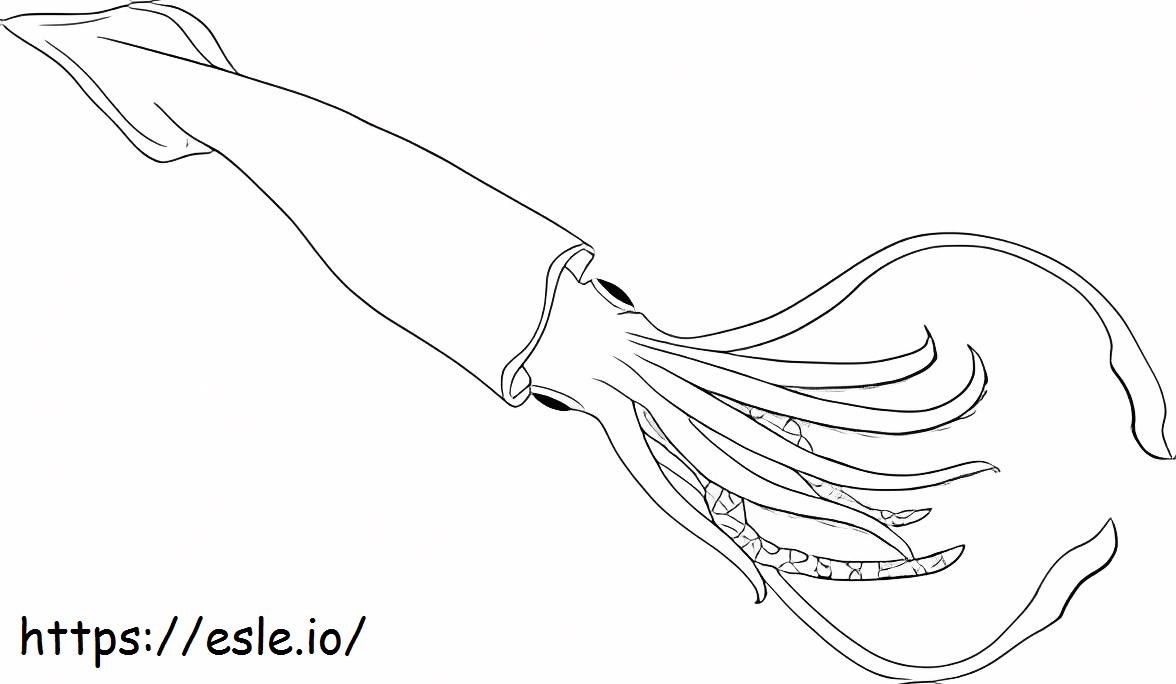 Simple Squid Coloring Page