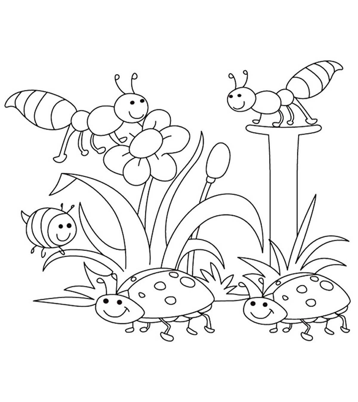 Top 35 Free Printable Spring Coloring Pages For Toddlers
