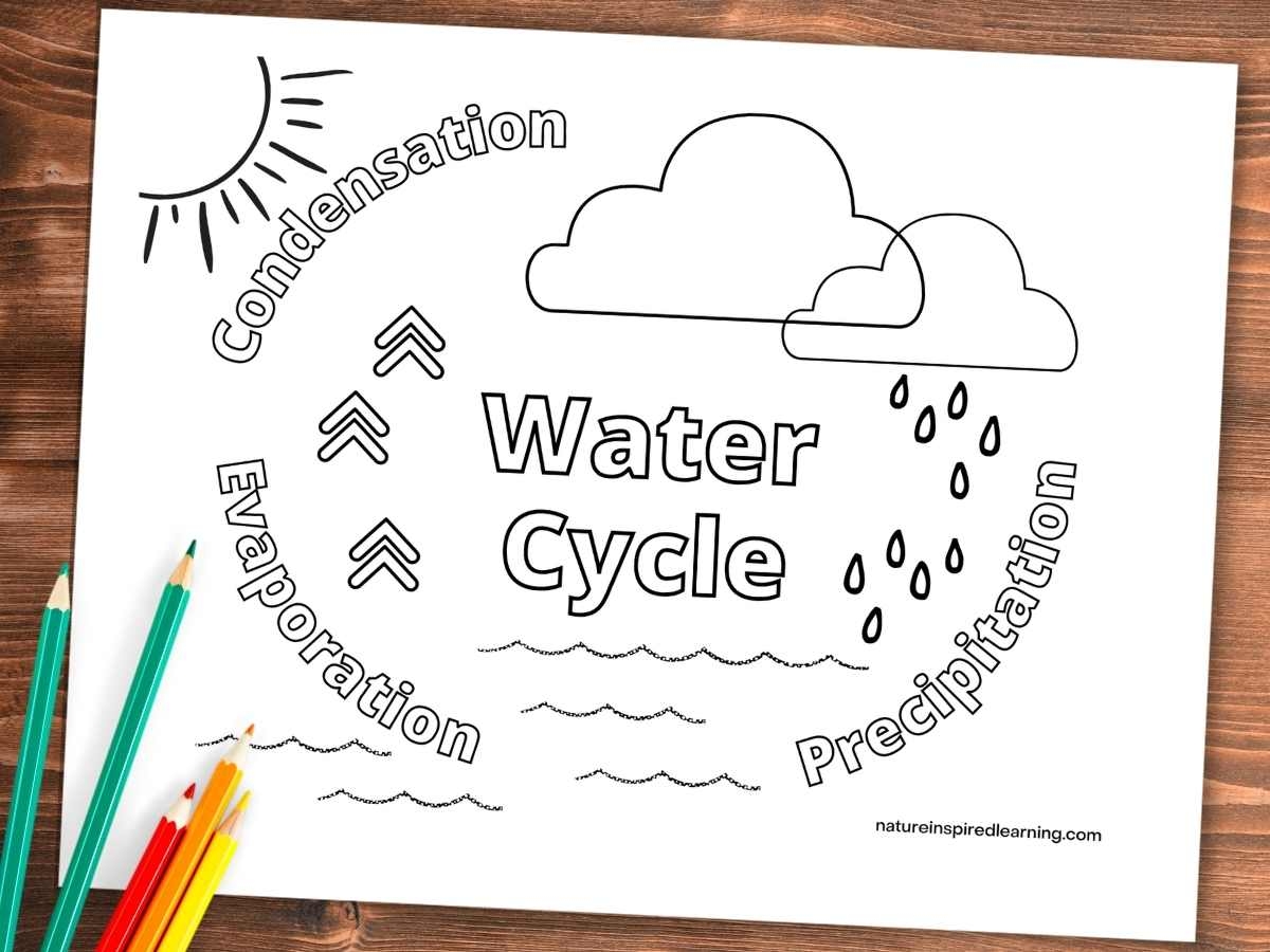 Water Cycle Coloring Pages For Kids Nature Inspired Learning